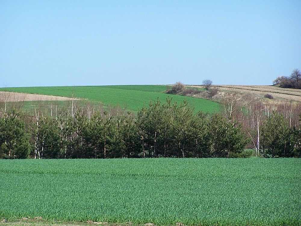 Krajobraz w pobliżu miejscowości Wielka Wieś