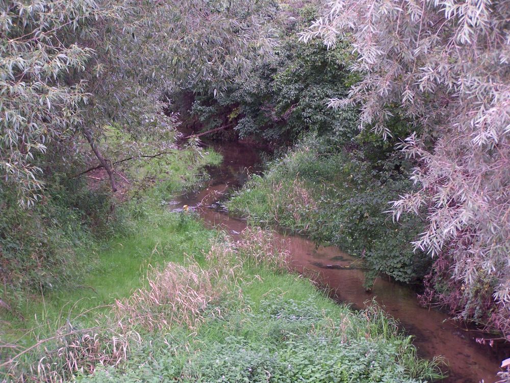 Rzeka Nieciecz w pobliżu miejscowości Zborów